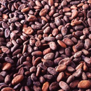 Import and ship your cocoa beans