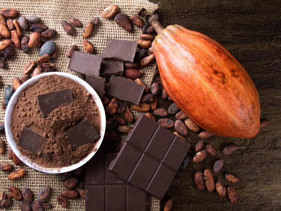 Cocoa Processing: From Bean to Chocolate