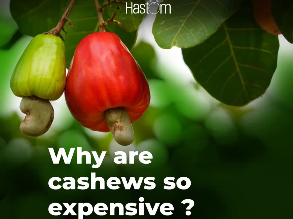 cashew nut prices