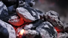 charcoal briquettes